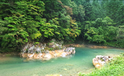 リゾート気分満載!